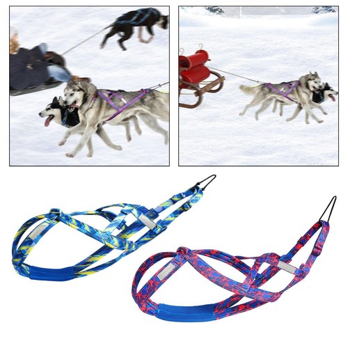 Husky harness for medium - harness,