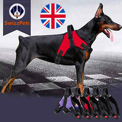 Non pull dog harness - dog,