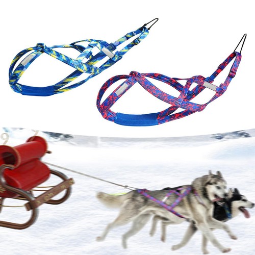Husky harness professional - harness,