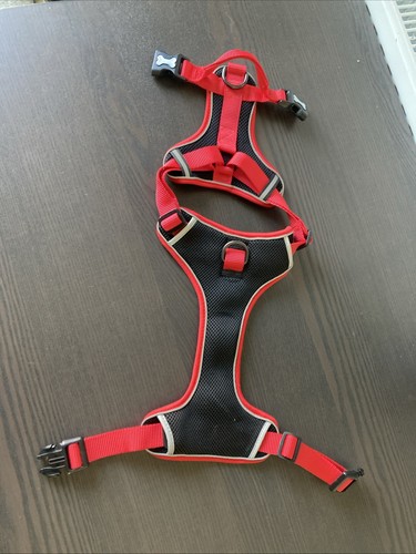 Red puppy harness pets home - puppy, at