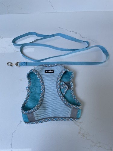 Puppy harness with - with, matching